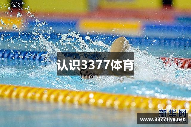 认识3377体育
